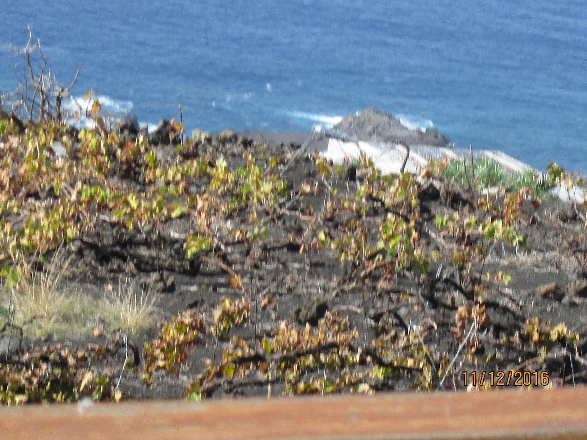 Casa Las Las Vinas Fuencaliente de la Palma Ngoại thất bức ảnh